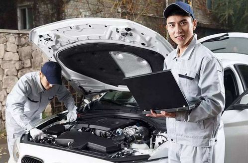 眾源沂康 汽車裝飾有這四個就夠了,千萬別多此一舉